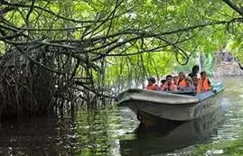 Experience Boat Safari in Madu River Sri Lanka.