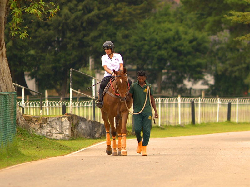 stable-experience-in-nuwara-eliya-sri-lanka-1