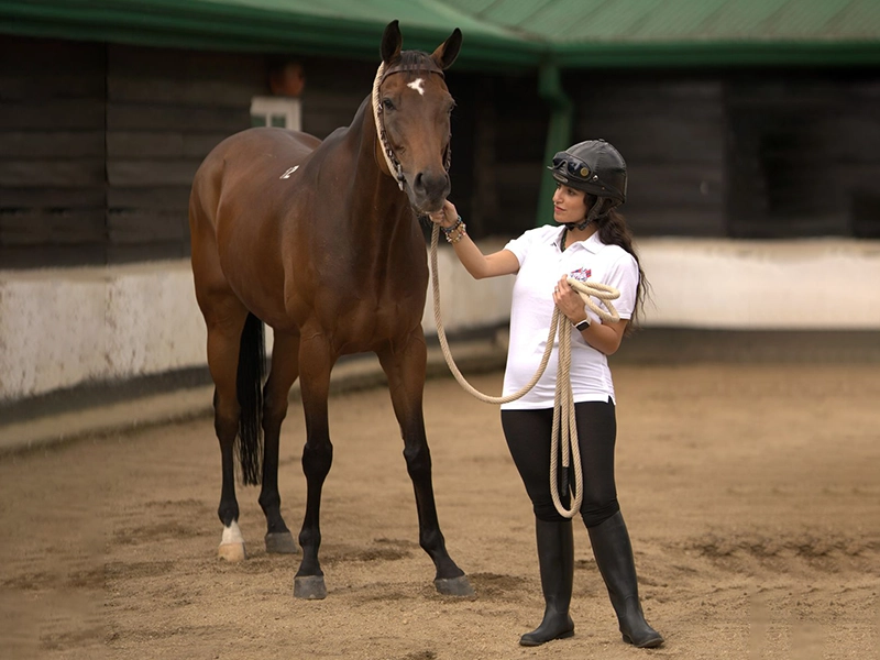 stable-experience-in-nuwara-eliya-sri-lanka-6