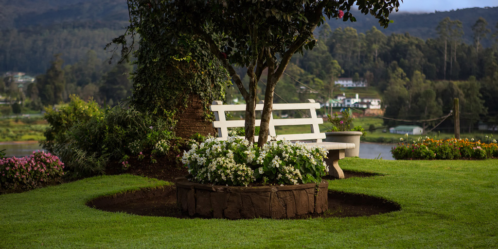 Hill Rise Luxury Villa & Stables Boutique Villa in Nuwara Eliya, Sri Lanka.