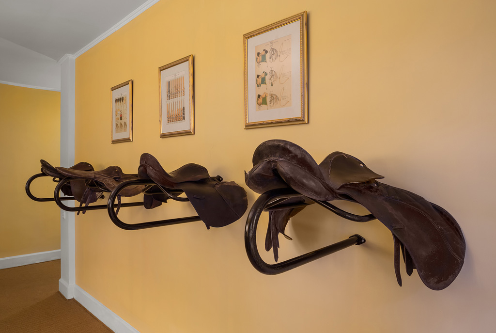 Hill Rise Luxury Villa & Stables in Nuwara Eliya, Sri Lanka