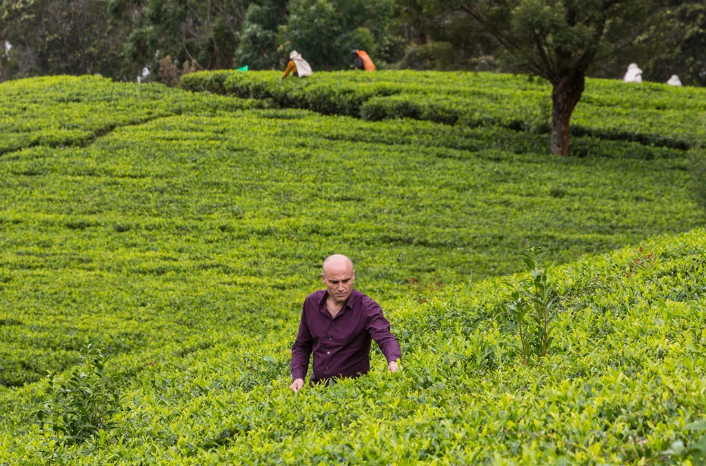 Hill Rise Luxury Villa & Stables in Nuwara Eliya, Sri Lanka