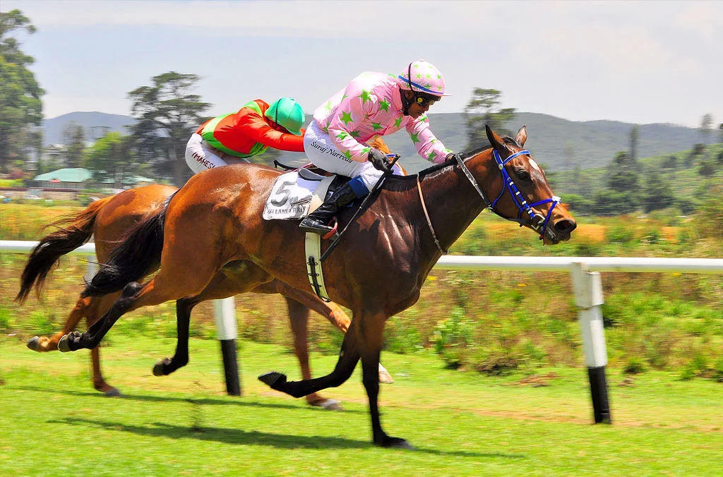 Hill Rise Luxury Villa & Stables in Nuwara Eliya, Sri Lanka