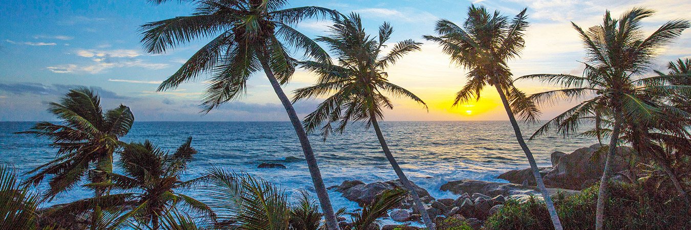 Hotels and Villas Special Offers in Sri Lanka