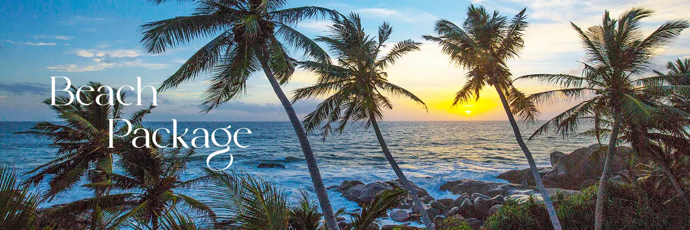 Hotels and Villas Special Offers in Sri Lanka