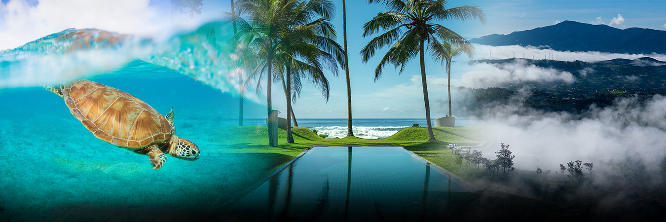 Hotels and Villas Special Offers in Sri Lanka