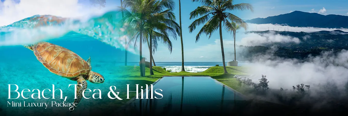 Hotels and Villas Special Offers in Sri Lanka