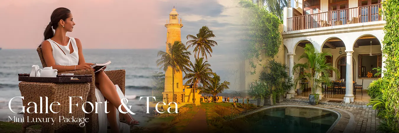 Hotels and Villas Special Offers in Sri Lanka