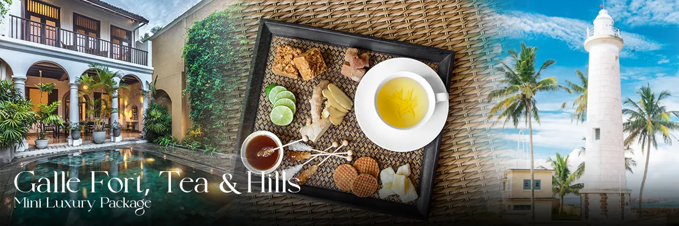 Hotels and Villas Special Offers in Sri Lanka