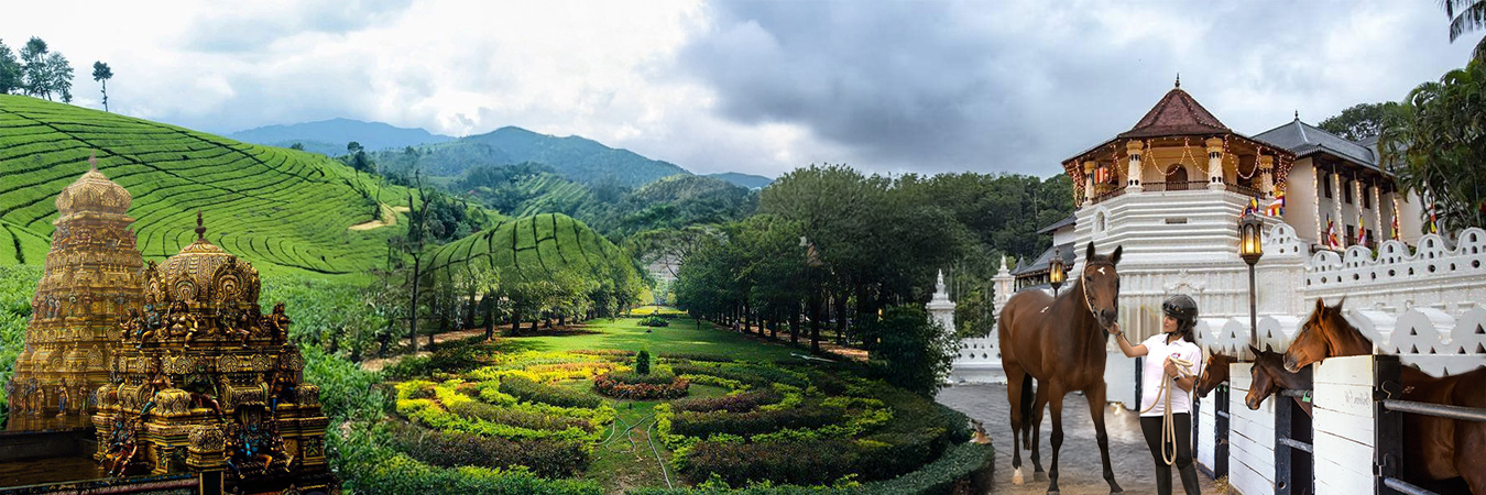 Hotels and Villas Special Offers in Sri Lanka