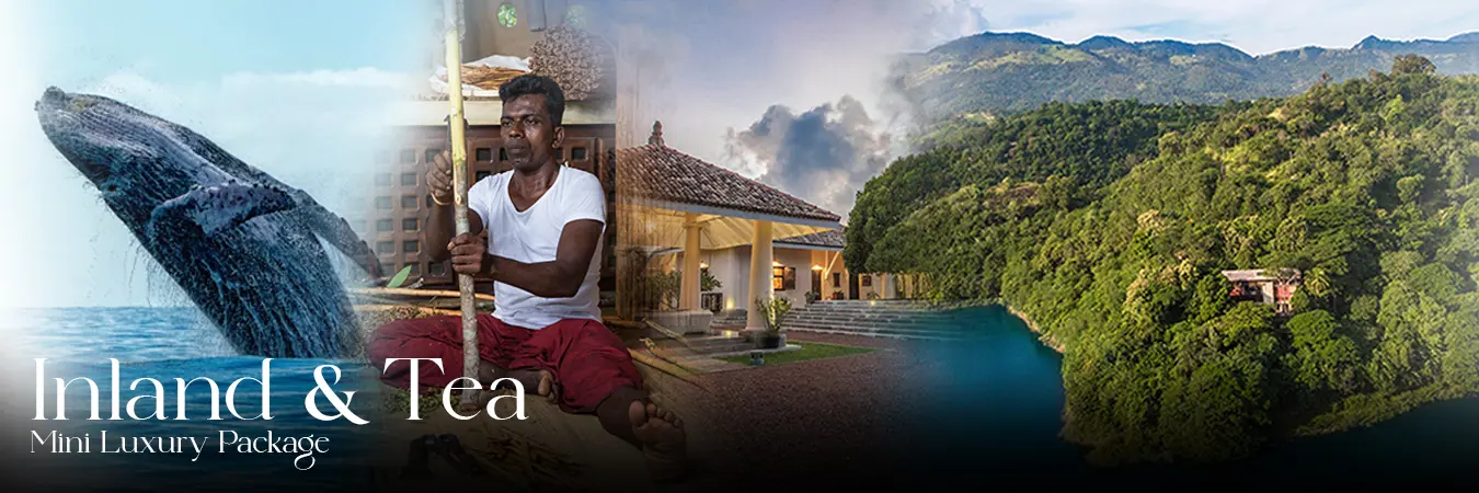 Hotels and Villas Special Offers in Sri Lanka
