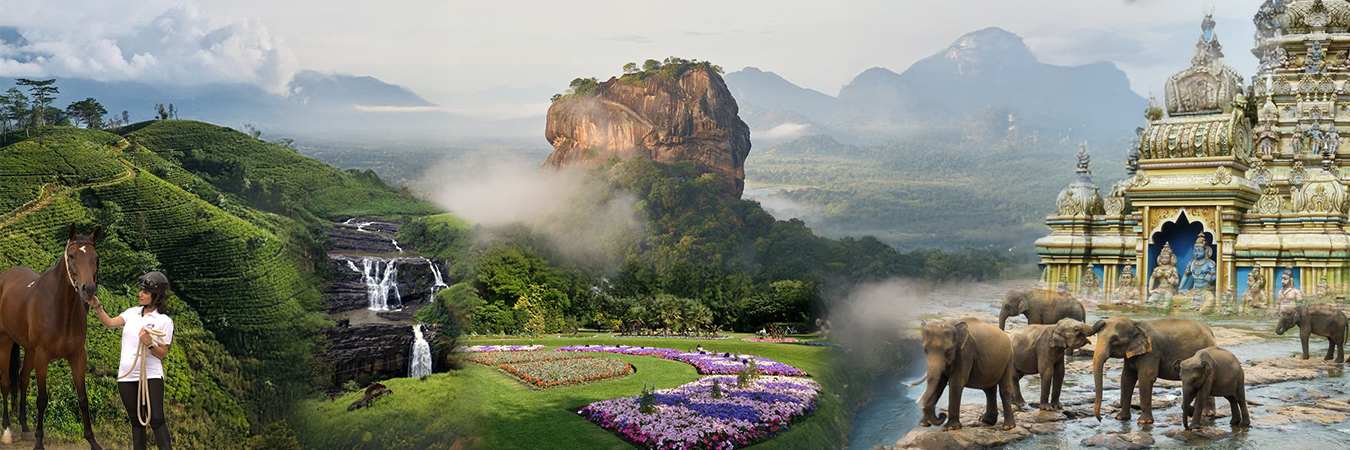 Hotels and Villas Special Offers in Sri Lanka