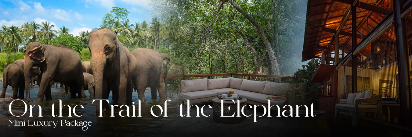 Hotels and Villas Special Offers in Sri Lanka