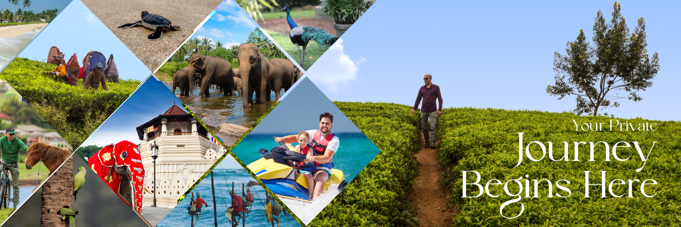Hotels and Villas Special Offers in Sri Lanka