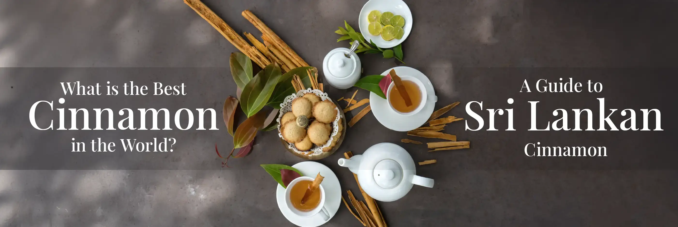 What is the Best Cinnamon in the World? 